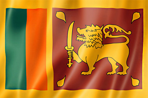 சர்வதேசத்தை நாடவேண்டிய அவசியம் இல்லை்; ரணில் தெரிவிப்பு | No Need To Go International