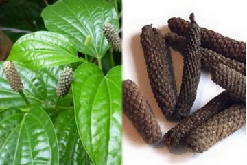 கர்ப்பிணி பெண்கள் இந்த வாசனையை நுகர கூடாதாம்!