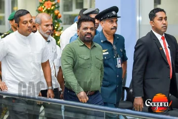 ජනපතිගේ මාලදිවයින් සංචාරය ජූලි මාසයේදී