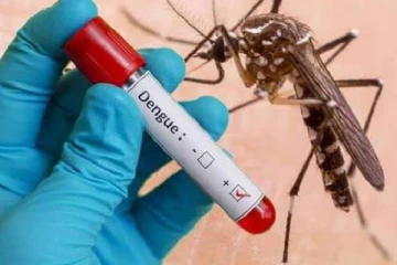 இலங்கையில் 5 டெங்கு அபாயமிக்க மாவட்டங்கள் அடையாளம்!