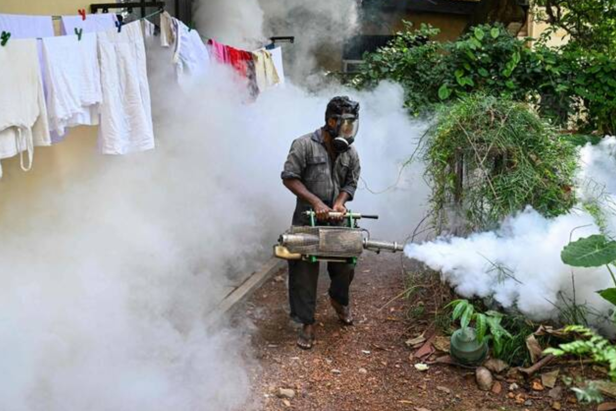 டெங்கு மரண எண்ணிக்கை 69ஆக உயர்வு | Dengue Death Toll Rises To 69 டெங்கு மரண எண்ணிக்கை 69ஆக உயர்வு | Dengue Death Toll Rises To 69