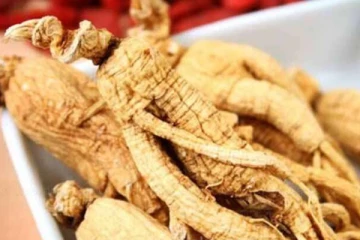 முன்னோர்கள் பயன்படுத்திய  அமுக்கரா கிழங்கின் மருத்துவ குணங்கள்! அட இவ்வளவு இருக்கா?