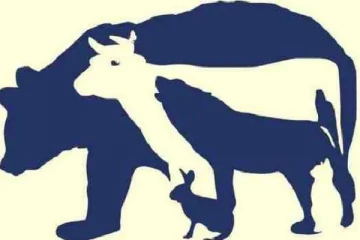 Optical illusion: கண்பார்வையை சோதிக்கலாம் இதில் எத்தனை மிருகங்கள் உள்ளது?