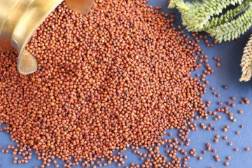 கேழ்வரகில் இத்தனை நன்மைகளா