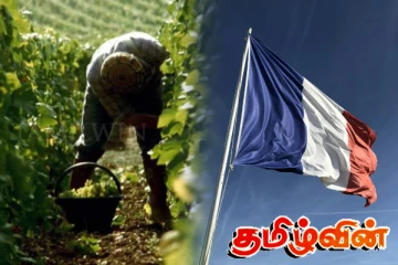 பிரான்ஸில் புலம்பெயர்ந்தோரை அடிமைகள் போல நடத்திய நிறுவனம்! வழங்கப்பட்ட தண்டனை