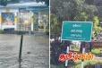 அம்பாறையில் 3000 ஏக்கர் வயல் நிலங்களை மூழ்கடித்த வெள்ளம்