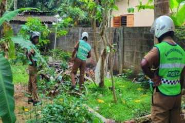 வவுனியாவில் திடீர் சோதனை நடவடிக்கை... பலருக்கு நேர்ந்த கதி!
