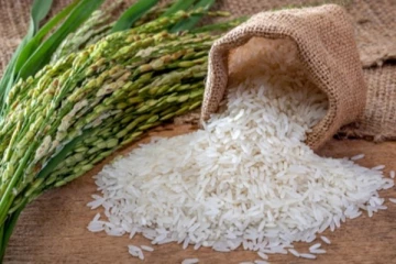 அரிசி கையிருப்பு தொடர்பில் அமைச்சர் மஹிந்த வெளியிட்ட தகவல்!