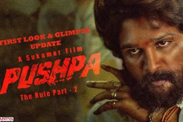 அல்லு அர்ஜுன் நடிக்கும் புஷ்பா 2 படத்தின் ஃபஸ்ட் லுக் வீடியோ