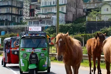 படத்தை காட்டியவர்கள் கைது