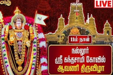 ஊரை அருள்பாலிக்க காத்திருக்கும் நல்லூர் கந்தன்... (LIVE)