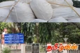 இலங்கைக்கு கடத்த இருந்த இரண்டு தொன் உலர்ந்த இஞ்சி பறிமுதல்