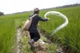 පෞද්ගලික අංශයටත් යුරියා බෙදන්න අවසර