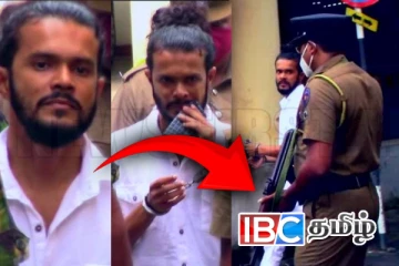 நாட்டிற்கு அழைத்துவரப்பட்ட பொடி லெசி