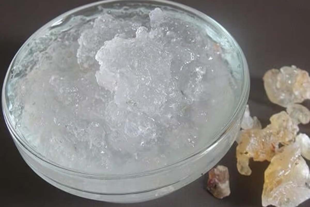 கோடை வெயிலிலிருந்து தப்பிக்க வேண்டுமா? ஊற வைத்த பாதாம் பிசினை கட்டாயம் எடுத்துக்கோங்க | Health Benefits Of Drinking Almond Gum