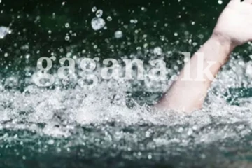 මල් කැකුළක් ජලාශයකට වැටී මියගිය සංවේදී පුවතක්.