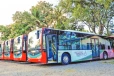 මෙට්රෝ බස් රථවලට හානි කරොත් දැඩි නීතිමය පියවර