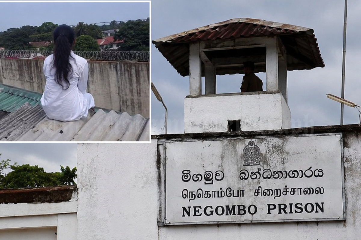 நீர்கொழும்பு சிறை யுவதியின் இதயத்தை உருக்கும் உண்மைக் கதை; காதலனை நம்பியதால் கைநழுவிய மருத்துவ கனவு | Story Of A Young Woman In Negombo Prison நீர்கொழும்பு சிறை யுவதியின் இதயத்தை உருக்கும் உண்மைக் கதை; காதலனை நம்பியதால் கைநழுவிய மருத்துவ கனவு | Story Of A Young Woman In Negombo Prison