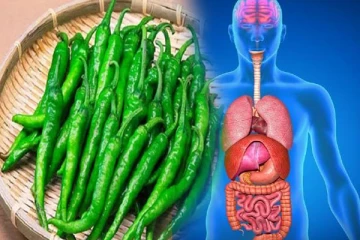 பச்சை மிளகாய் வலியை போக்குமா? காரணத்தை தெரிஞ்சிக்கோங்க