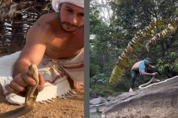 ராஜ நாகங்களை நூதன முறையில் அசால்ட்டாக அடக்கும் நபர்! வைரல் காணொளி