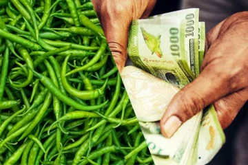 தலை சுற்ற வைக்கும் பச்சை மிளகாயின் இன்றைய விலை!