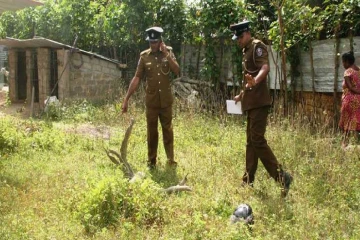 தமிழர் பகுதியில் சட்டவிரோத கால்நடை கடத்தல் ; சந்தேக நபர் நீதிமன்றில்