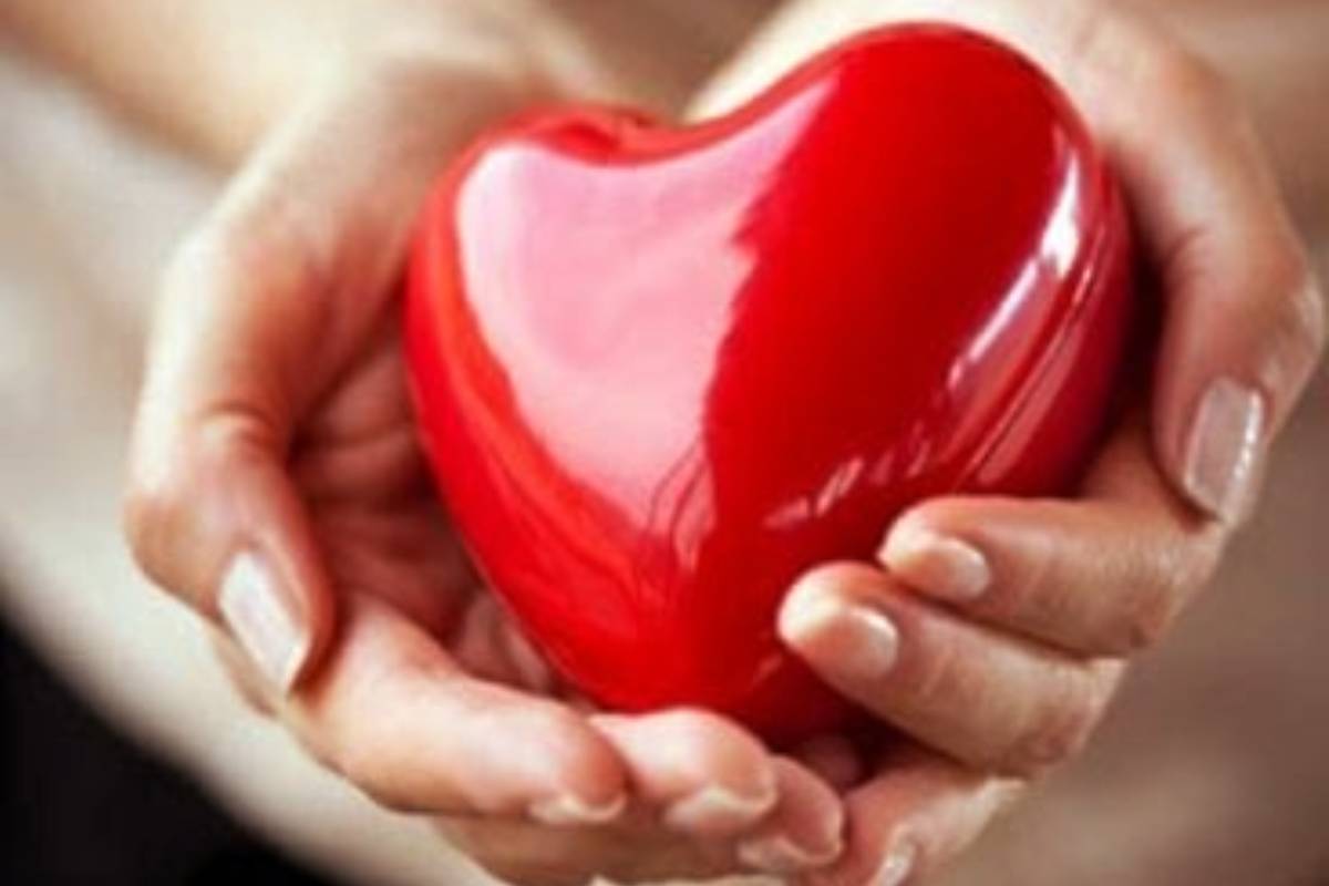 இந்த ஒரு காய் சாப்பிடுங்க - நரம்பில் சிக்கியுள்ள கெட்ட கொழுப்பு கரையும் | Beetroot Controls Cholesterol Improve Heart Health