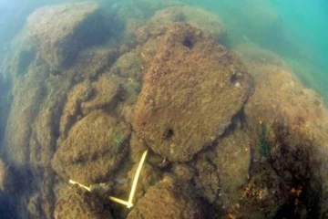 காலி துறைமுகத்தில் கண்டெடுக்கப்பட்ட பல நூற்றாண்டுகளுக்கு முந்திய கல் நங்கூரம்