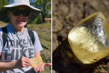 பெண்ணின் கண்ணில் பட்ட அரியவகை மஞ்சள் வைரம்! தேடி வந்த அதிர்ஷ்டம்: விலை எவ்வளவு தெரியுமா?