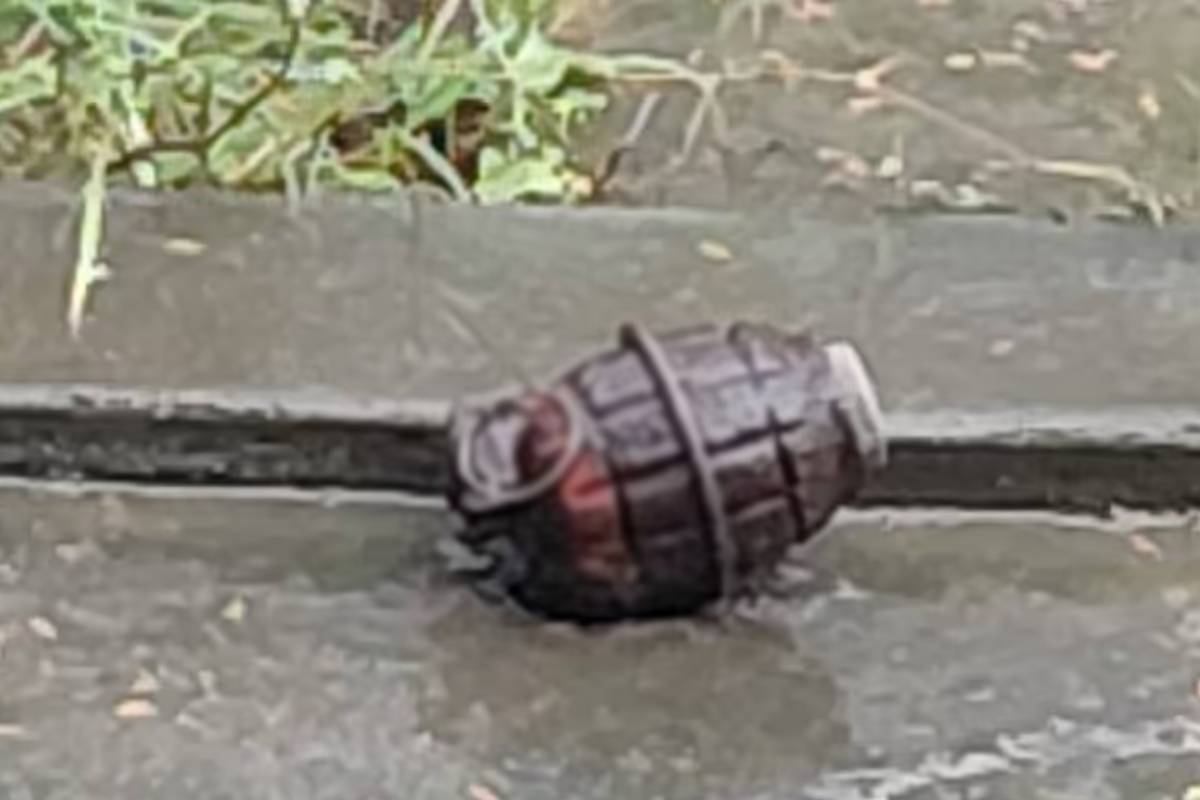 கந்தளாயில் ஆற்றில் இருந்து கைக்குண்டு மீட்பு | Hand Grenade Recovered From River In Kantale