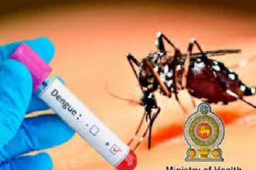 நாட்டில் டெங்கு நோய் தொடர்பில் சுகாதார அமைச்சு எச்சரிக்கை