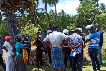 வவுனியா பொலிஸாரால் மூவர் கைது