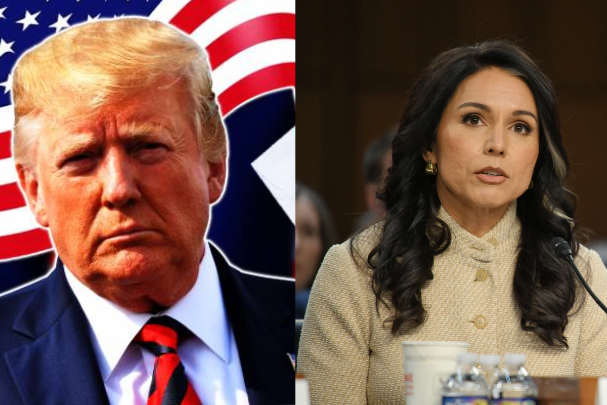திடீரென பதவி விலகும் அமெரிக்க உளவுத்துறை இயக்குனர் துளசி | Tulsi Resigns Us Director Of National Intelligence