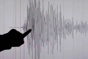 நியூசிலாந்தில் 7.1 ரிக்டர் சக்திவாய்ந்த நிலநடுக்கம்; அச்சத்தில் மக்கள்!