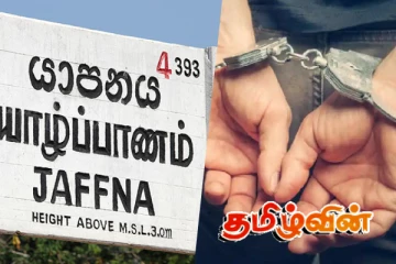 யாழில் மூன்று ஆடுகளை திருடிய சந்தேகநபர் கைது