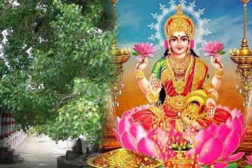 அரசனைப் போலவோ இளவரசியை போலவோ வாழ்க்கை வாழ இந்த பரிகாரத்தை செய்யுங்கள்