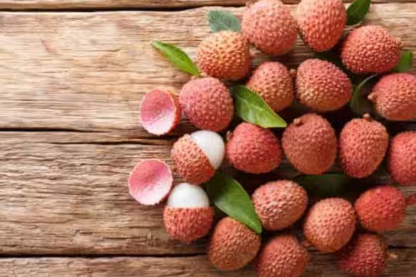 அழிஞ்சி பழம் சாப்பிடுவதால் அஞ்சி ஓடும் நோய்கள்! | There So Many Benefits Of Eating Achinji Fruit