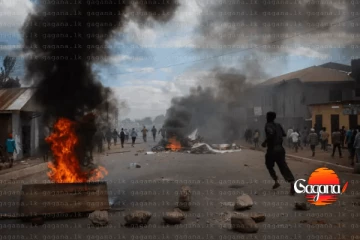 ටැන්සානියාවේ මහ මැතිවරණයෙන් පසුව ඇති වූ ඛේදවාචක - සිය ගණනක් මිය යයි