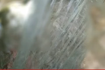 මාස 9කට පෙර මියගිය පුද්ගලයකුගේ මළසිරුරක් නිවසේ..