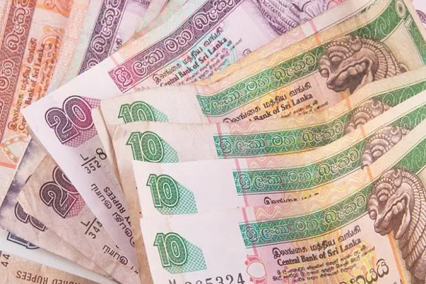 இலங்கை அரசாங்கத்திற்கு ஏற்பட்டுள்ள நிலை! | What Happened To The Sri Lankan Government
