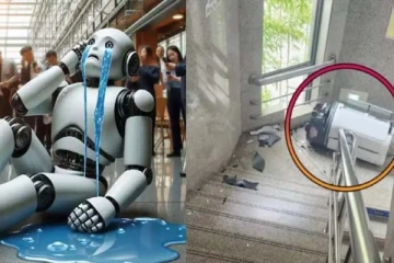 அதிக வேலையால் ரோபோ எடுத்த விபரீத முடிவு