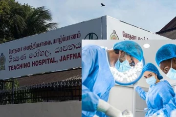 யாழில் அதிர்ச்சி சம்பவம்... வளர்ப்பு நாயால் பரிதாபமாக உயிரிழந்த பெண்!