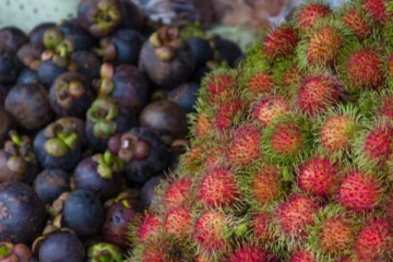 ரம்புட்டான் மற்றும் மங்குஸ்தானால் ஏற்படும் அபாயம் குறித்து வெளியான தகவல்