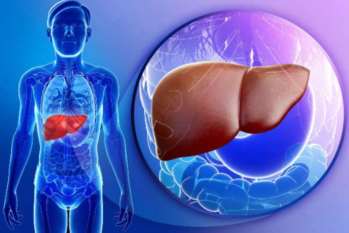 நரைமுடிக்குச் சாயம் பூசுவது கல்லீரலைப் பாதிக்குமா? | Does Dyeing Gray Hair Harm The Liver