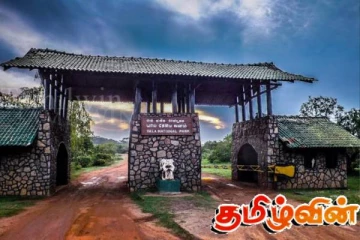 யால வனப்பூங்காவில் இன்னும் சில வலயங்களைத் திறக்க நடவடிக்கை