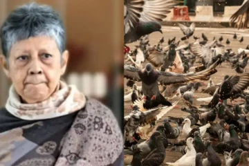 சிங்கப்பூரில் புறாவிற்கு உணவு அளித்த இந்தியப் பெண்ணுக்கு 2 லட்சம் அபராதம்!