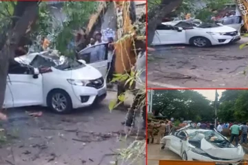 சாலையில் சென்ற கார் மீது மரம் விழுந்து விபத்து - ஒருவர் பலி..!