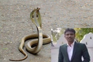 பாம்புகளை பிடிக்கும் நபர் பாம்பு தீண்டி மரணம்