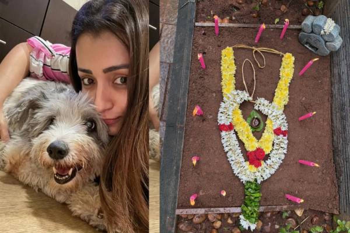 செம கியூட்டா இருக்கே... மகளின் புகைப்படத்துடன் ஈஸ்டர் வாழ்த்து சொன்ன த்ரிஷா! | Trisha Post About Daughter Izzys Easter Look செம கியூட்டா இருக்கே... மகளின் புகைப்படத்துடன் ஈஸ்டர் வாழ்த்து சொன்ன த்ரிஷா! | Trisha Post About Daughter Izzys Easter Look