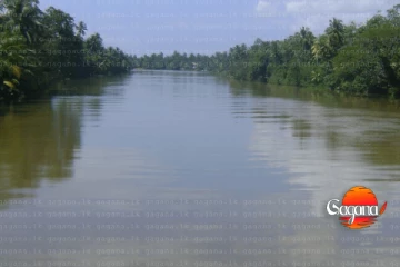 මහවැලි ගඟේ වතුර මට්ටම ඉහළට - සුළු ගංවතුර තත්ත්වයක් ගැන අනතුරු ඇඟවීමක්